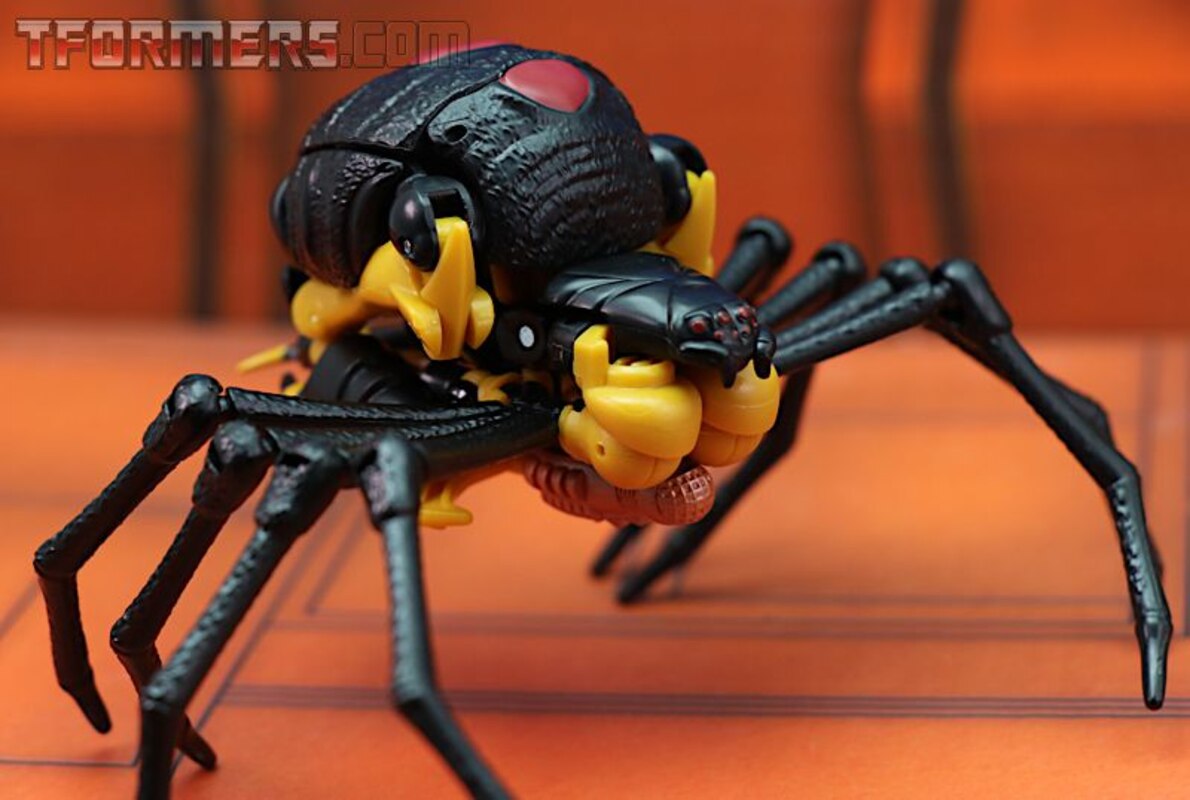 transformers kingdom blackarachnia review
